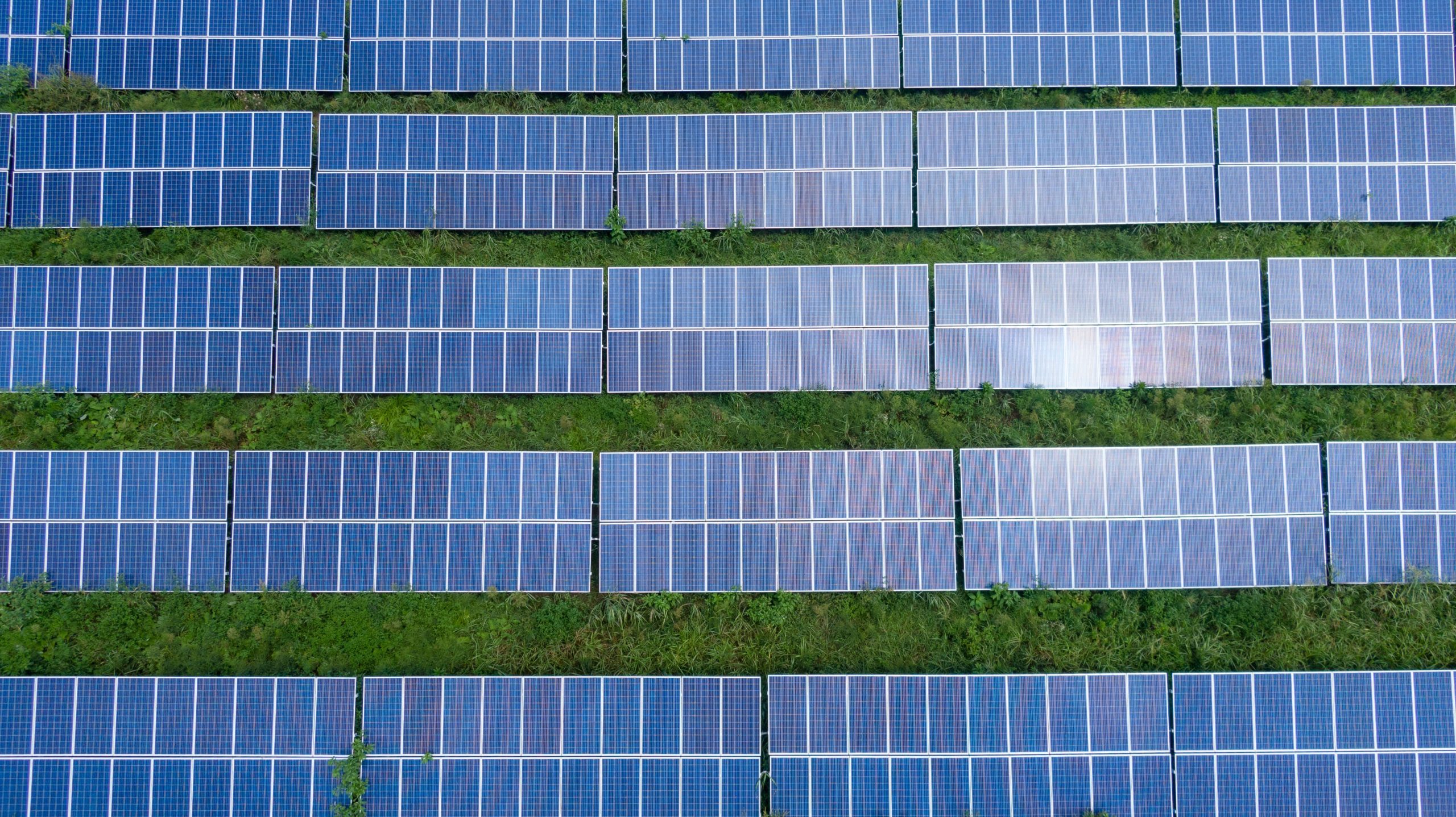 Welke bedrijven zonnepanelen inschakelen?